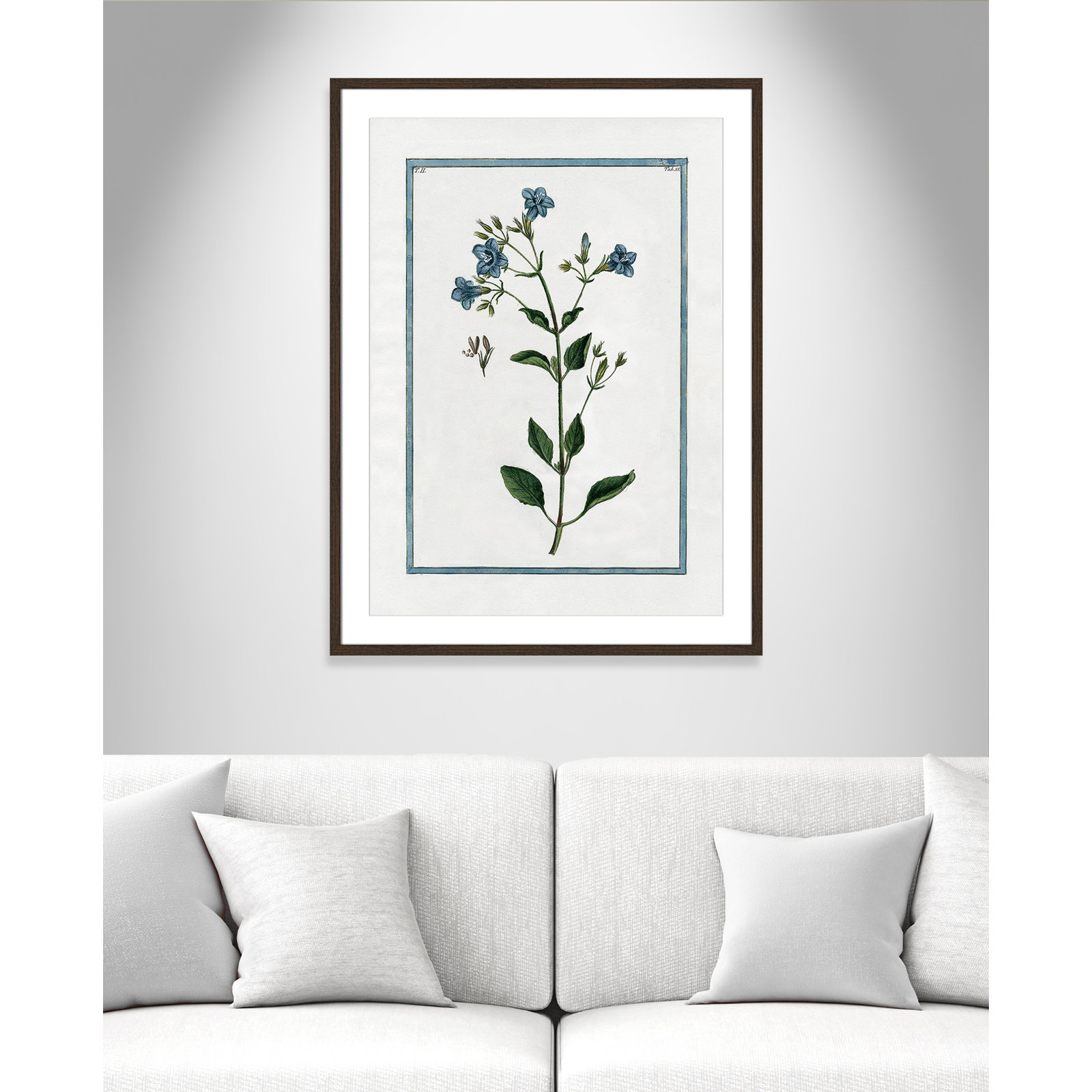 Shabby Elegance Botanical II - Framed Art, 25.5" W x 35.5" H, Walnut Framed