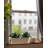 Pot Planter-1343444210-1343444208