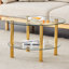 Table basse contemporaine en verre trempé à double couche Contemporary