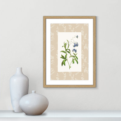 Botanical Plate I  Print by Susan Jill