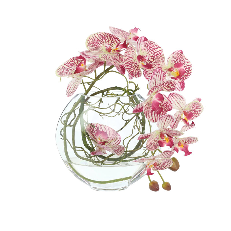 Orchid and Vine Arrangement in Glass Vase, Pink