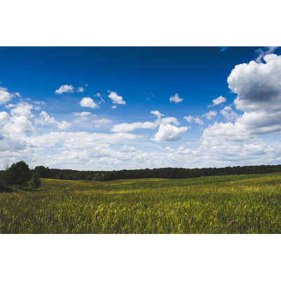 Akeley Open Grassy Field sur toile