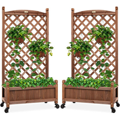 Evannah Raised Garden Bed