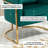 Zianah Velvet Barrel Chair-1091535238