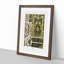 17th and 18th Century Pattern with Scrolls and Birds by Albert Racinet - Picture Frame Print-55629383-55629387