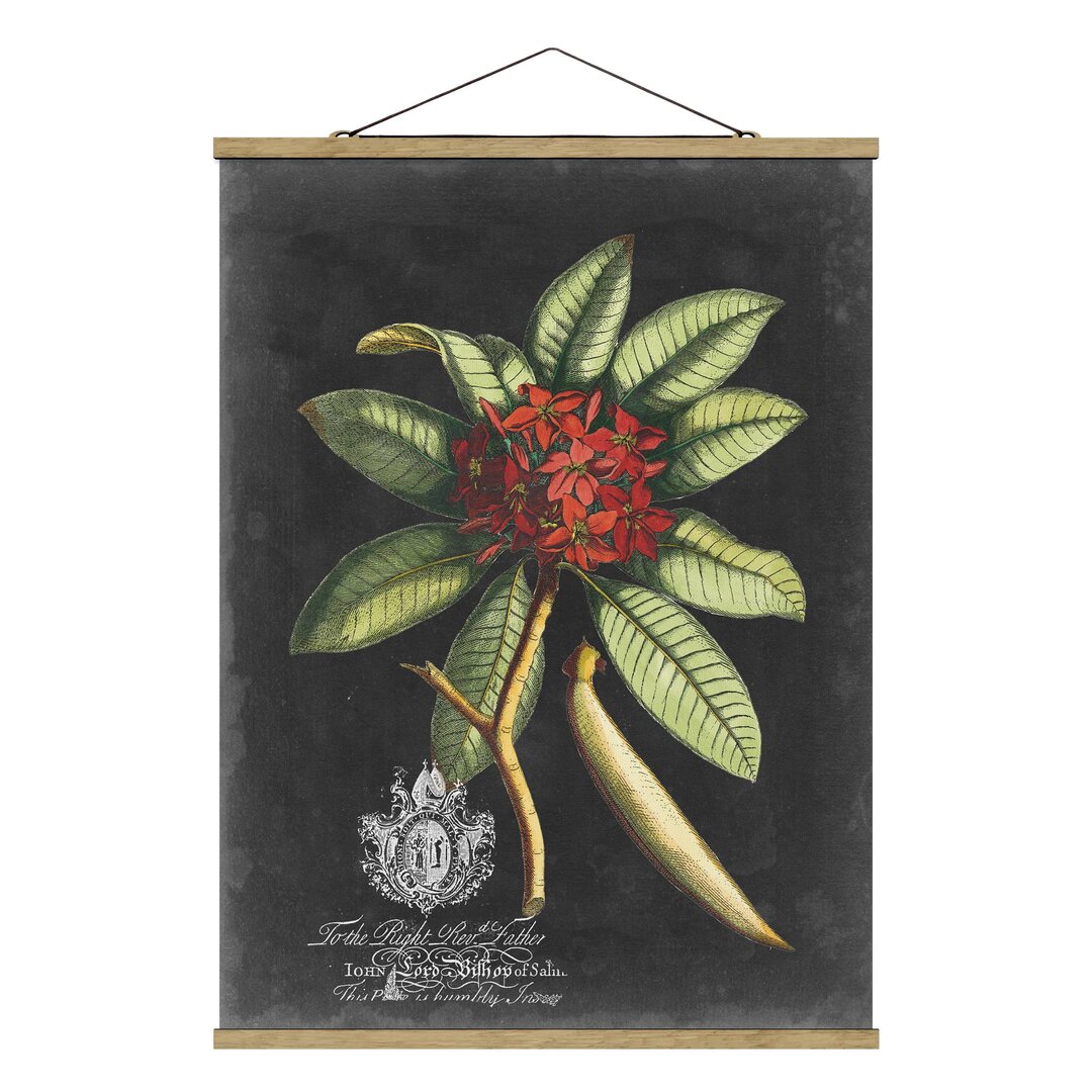 Stoffbild Vintage Royal Foliage auf Schwarz III