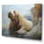 Toile tendue
