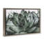 «Succulent with Rain Droplets», toile flottante encadrée grise par Jennifer Rigsby-2047484514-2047484829