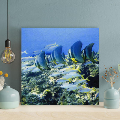 " School Of Fish 22 " Painting Print