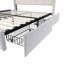 Rishi Upholstered Storage Bed with Drawers-1854995815-1854995819