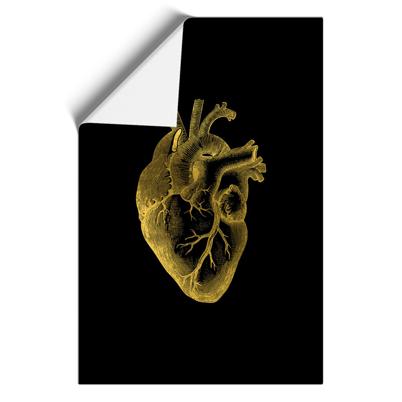 Black Gold Anatomical Heart - Frameless Print, 84cm H x 59cm W x 0.1cm D