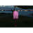 Stella Tassel 28.5" Cylinder Solar Lantern - Raspberry-123844736-123844737