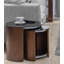 Teo Glass Top Sled Nesting Tables-12158934