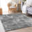 Premium Machine Washable Prisco Gray Rug-970857837
