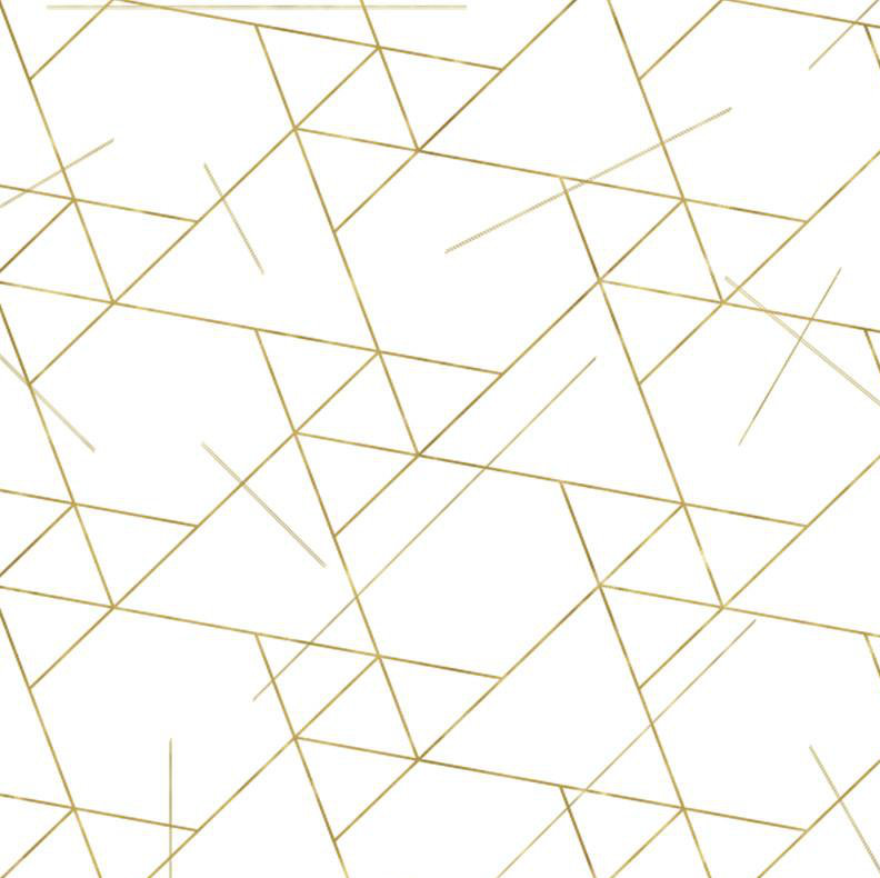 Geometric Vinyl Wallpaper Roll by Jamie Graney, White/Gold