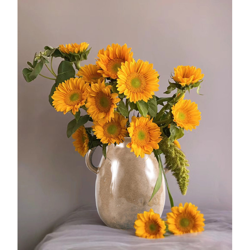 Vase en céramique avec 2 poignées, vase de ferme pour décoration intérieure, Brun