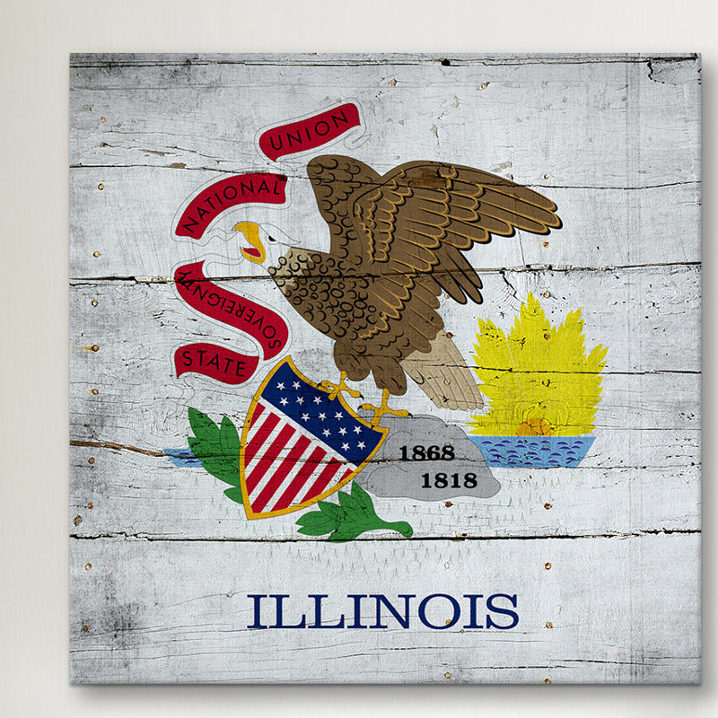 Drapeau de l'Illinois - impression sur toile, H 12 po x l 12 po x P 1,5 po