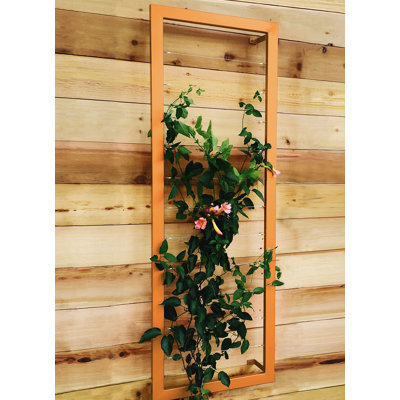Durenda 69'' H x 23'' W Trellis
