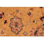 Tapis oriental doré / bleu en laine noué à la main 6 pi x 8 pi 10 po Baccio