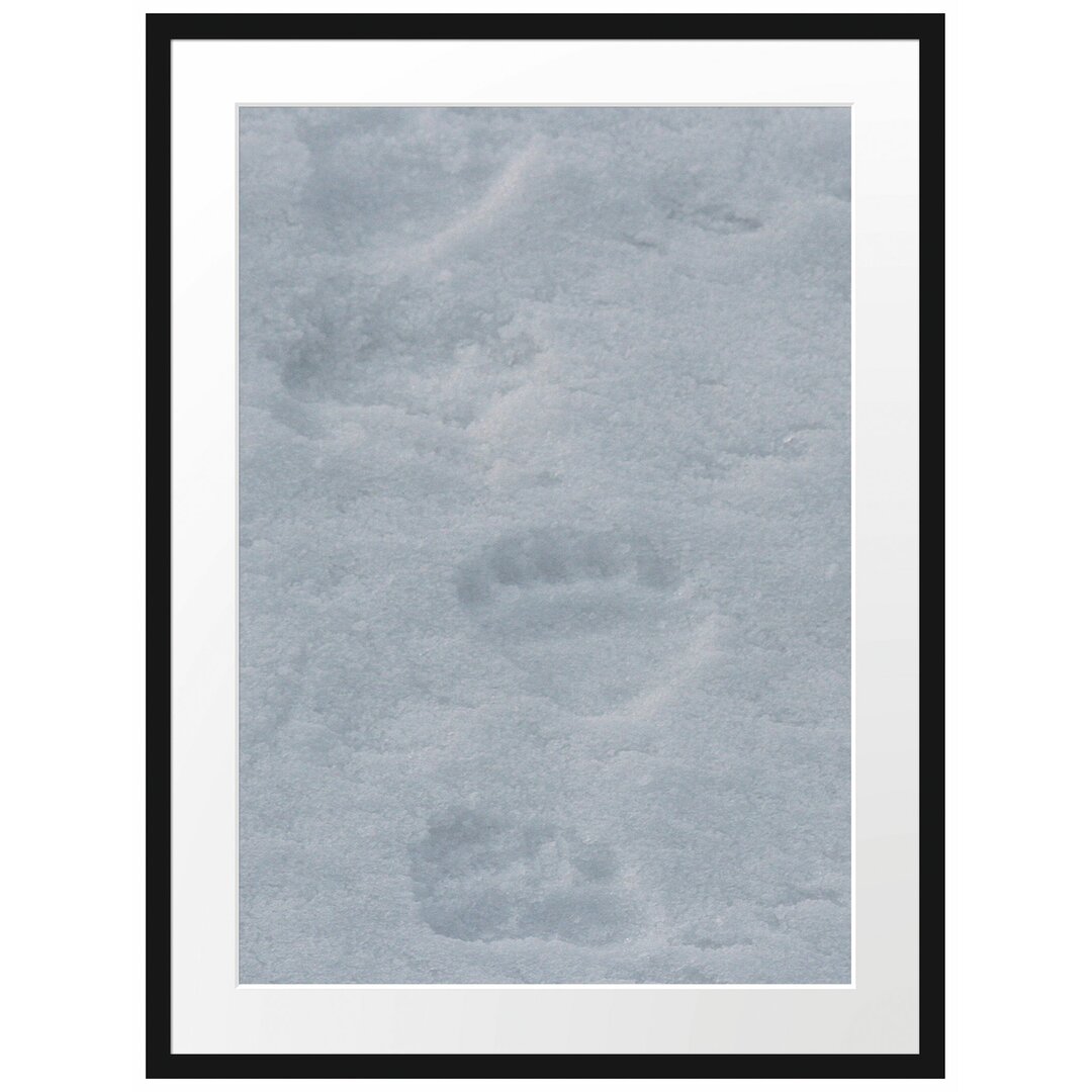 Gerahmtes Poster Tierspuren im Schnee