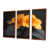 Brown Floater Framed Canvas