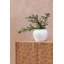 Nisso Handmade Concrete / Cement Table Vase-1467515007