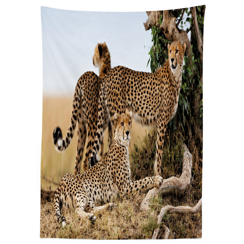 Tablecloth, 84" L x 60" W