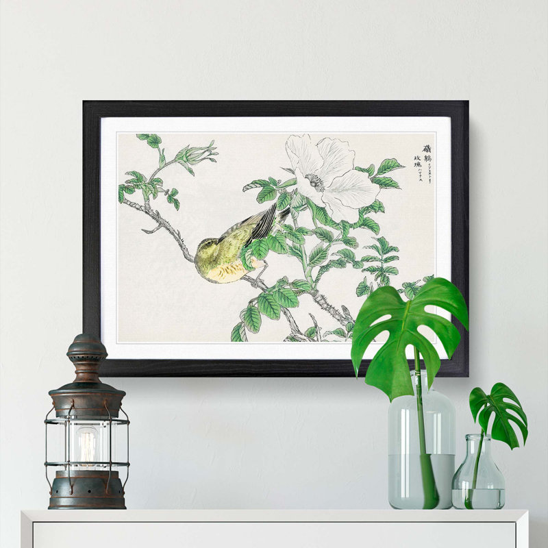 Brown-Eared Bulbul Bird & White Wild Rose by Numata Kashu - Picture Frame Art Print, 48cm H x 65cm W x 2cm D, Black Framed