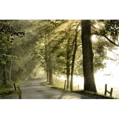 Fresh Morning II