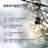 Ambience Pro 7-Light 24 ft. Indoor/Outdoor Plug-In LED 1-Watt S14 2700K Soft White Bulb String Lights