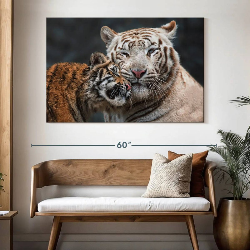 Brampt White Tiger And Kitten, 34" H x 51" W