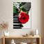 Hardie, rose rouge sur piano-108230748