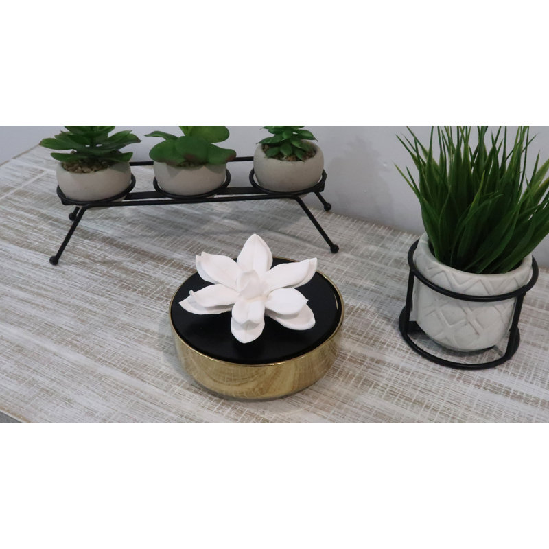 Plant / Floral Diffuser