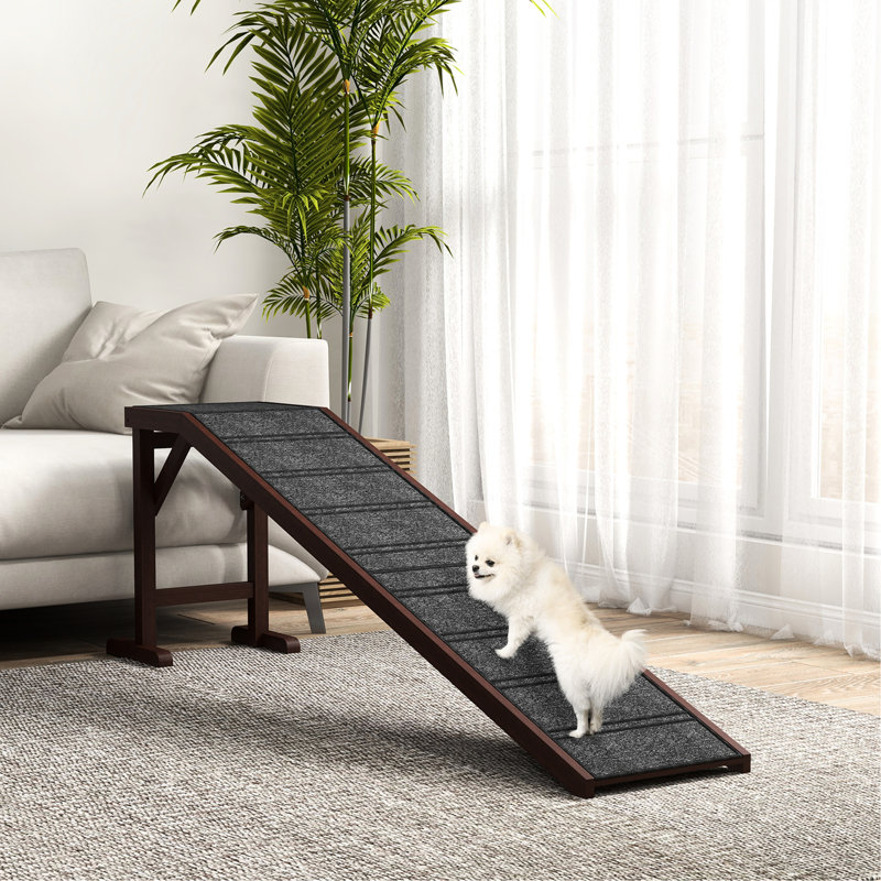Rampe pour chien et chien Brown