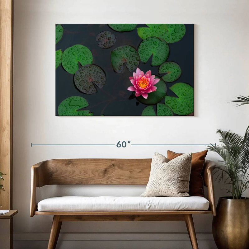 Harnek Lotus In The Rain