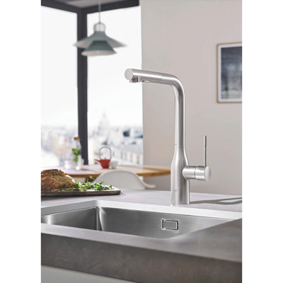 Essence Pull Out Single Handle Kitchen Faucet with Accessories
