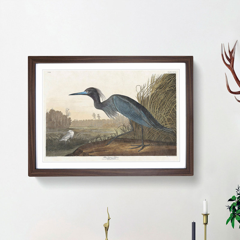 Blue Heron by John James Audubon - Picture Frame Art Print, 36cm H x 48cm W x 2cm D, Walnut Framed