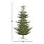 Alberta Green Spruce Artificial Christmas Tree with LED with Stand-854492720-839530369