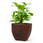 Jardinière écologique d'intérieur / extérieur Vinesha ECOBO-1203563269-1203563274-1197920228