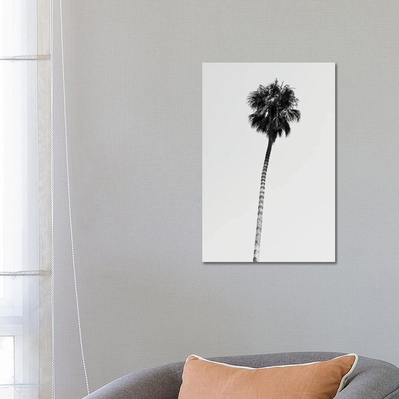 Hollywood Palm Tree by Philippe Hugonnard - Wrapped Canvas Print, 66.04 cm H x 45.72 cm W x 3.175 cm D