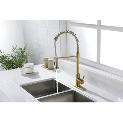 Robinet de cuisine avec douchette extractible