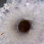 Quartz Stalactite Slice From Uruguay (213 Grams)