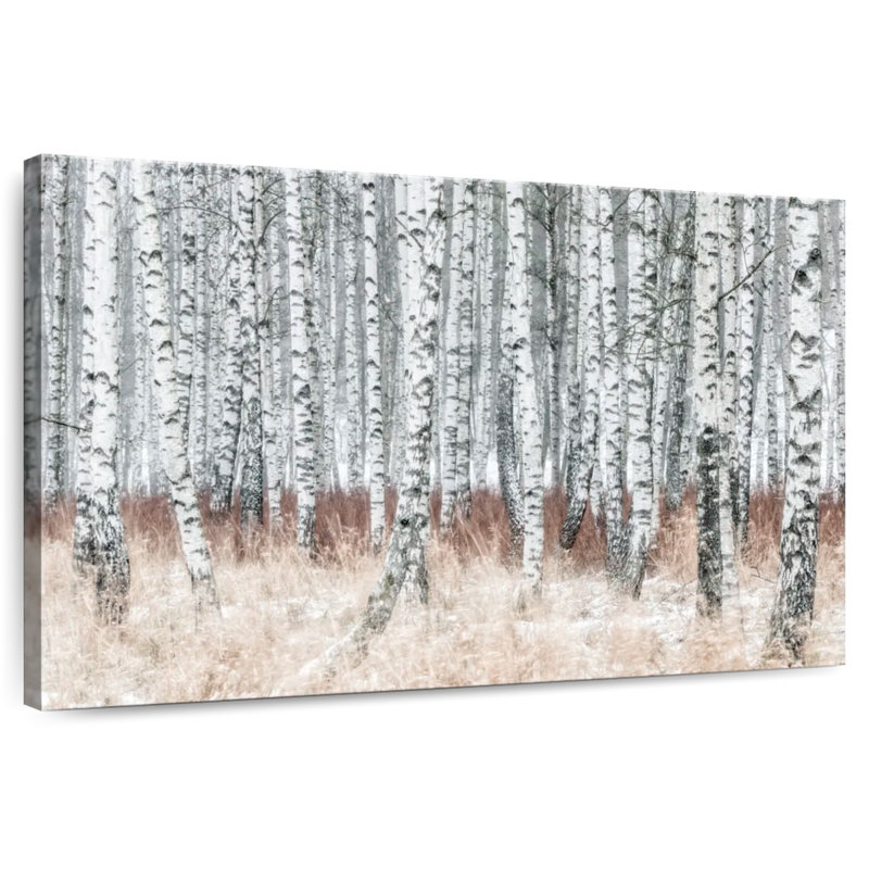 Alvord Winter Birch Grove, H 24 po x l 36 po