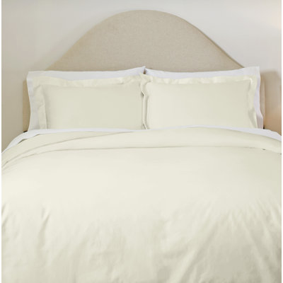 Allen 100% Cotton