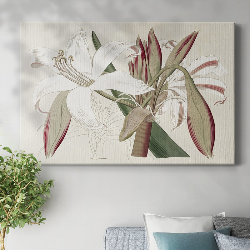 Amaryllis Varietals II-Gallery, toile tendue, H 32 po x l 48 po