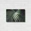 «Palm Fronds Green» par Debra Van Swearingen-2025995287