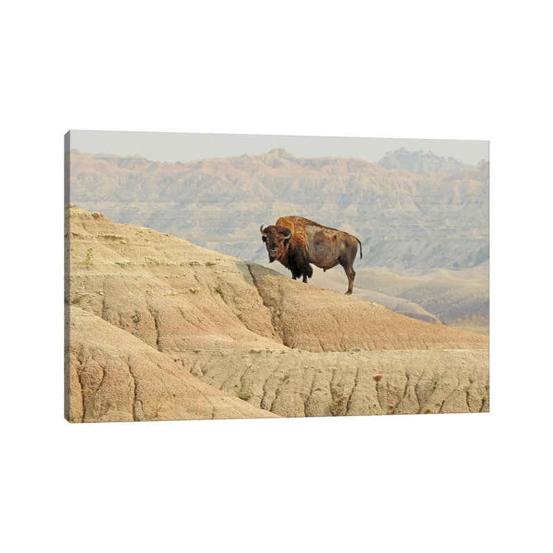 On The Ledge by Brian Wolf - Wrapped Canvas Print, 20.32cm H x 30.48cm W x 1.91cm D