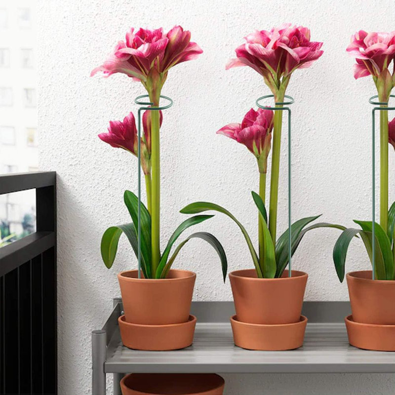 Paquet de 12 piquets de soutien pour plantes de 17 pouces, 4 tiges de soutien de jardin à tige simple de 4 mm d'épaisseur Amaryllis, 420 boucles de plantes, 12 inserts d'étiquettes, 20 attaches de câble
