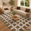Geometric Area Rug-992078301