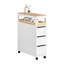 Keondra Freestanding Bathroom Cabinet-424040610